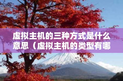 虚拟主机的三种方式是什么意思（虚拟主机的类型有哪些?）