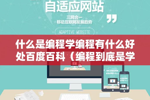 什么是编程学编程有什么好处百度百科（编程到底是学些什么）