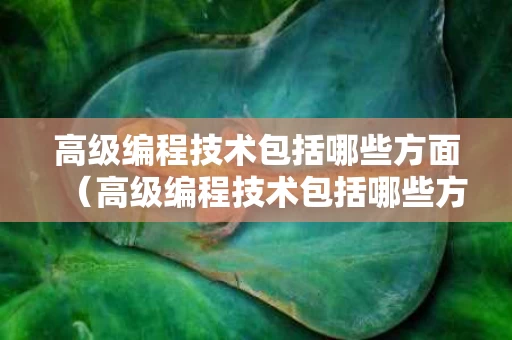 高级编程技术包括哪些方面（高级编程技术包括哪些方面内容）