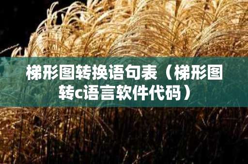 梯形图转换语句表（梯形图转c语言软件代码）