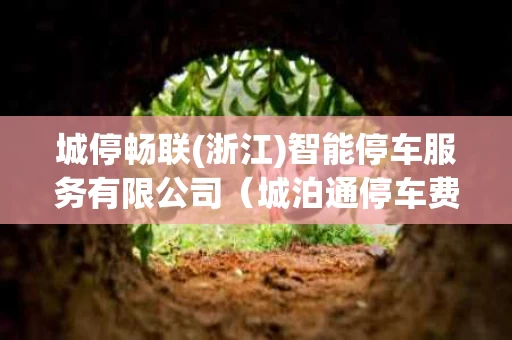城停畅联(浙江)智能停车服务有限公司（城泊通停车费不交会影响什么）