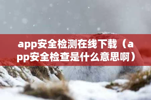 app安全检测在线下载（app安全检查是什么意思啊）