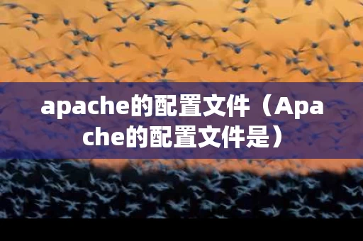 apache的配置文件（Apache的配置文件是）