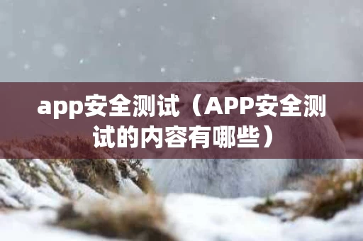 app安全测试（APP安全测试的内容有哪些）