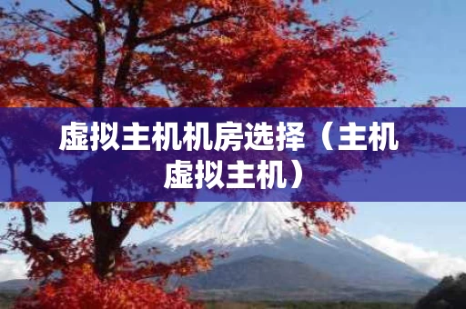 虚拟主机机房选择（主机 虚拟主机）