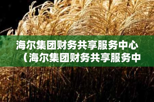 海尔集团财务共享服务中心（海尔集团财务共享服务中心建设）