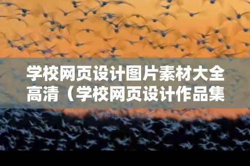 学校网页设计图片素材大全高清（学校网页设计作品集）