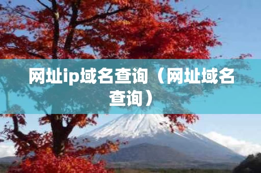 网址ip域名查询（网址域名查询）
