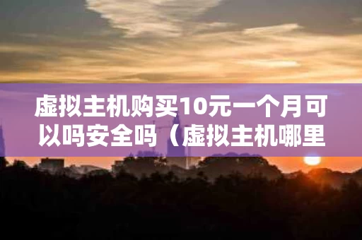 虚拟主机购买10元一个月可以吗安全吗（虚拟主机哪里买）