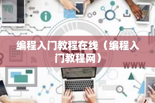 编程入门教程在线（编程入门教程网）