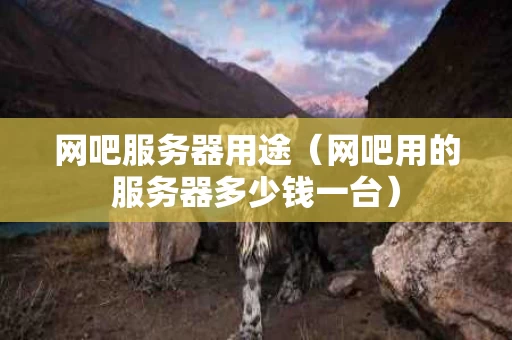 网吧服务器用途（网吧用的服务器多少钱一台）