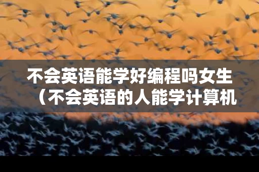不会英语能学好编程吗女生（不会英语的人能学计算机编程吗）