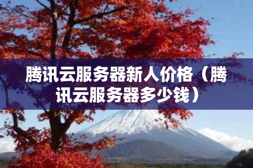 腾讯云服务器新人价格（腾讯云服务器多少钱）