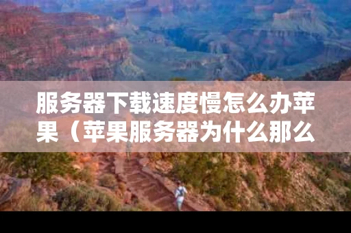 服务器下载速度慢怎么办苹果（苹果服务器为什么那么卡）