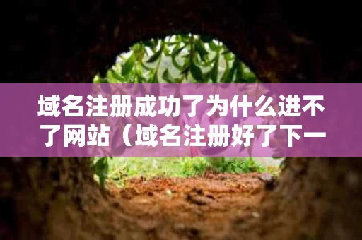 域名注册成功了为什么进不了网站（域名注册好了下一步）