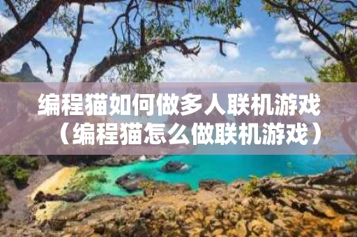 编程猫如何做多人联机游戏（编程猫怎么做联机游戏）