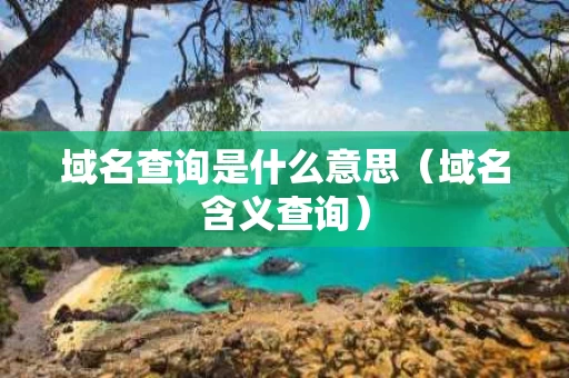 域名查询是什么意思（域名含义查询）