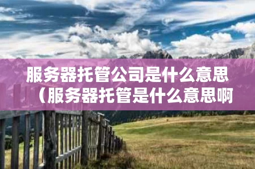 服务器托管公司是什么意思（服务器托管是什么意思啊）