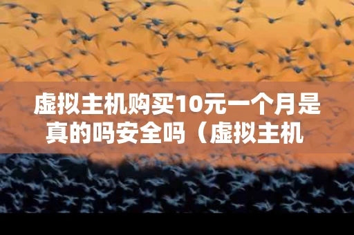 虚拟主机购买10元一个月是真的吗安全吗（虚拟主机 特惠）