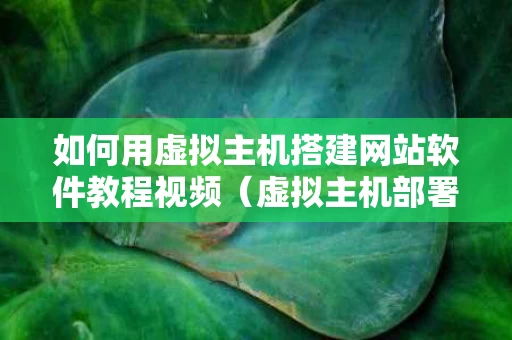 如何用虚拟主机搭建网站软件教程视频（虚拟主机部署网站）