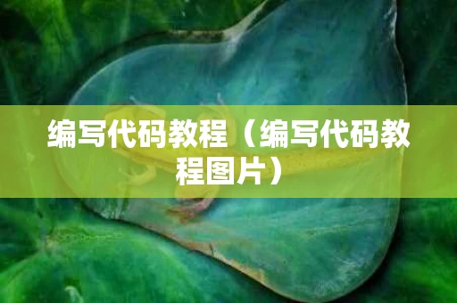 编写代码教程（编写代码教程图片）