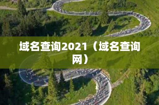 域名查询2021（域名查询网）