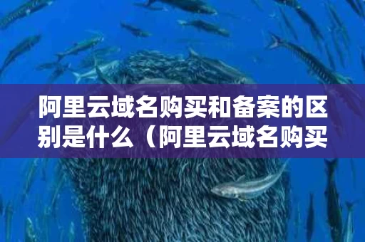 阿里云域名购买和备案的区别是什么（阿里云域名购买和备案的区别是什么呢）