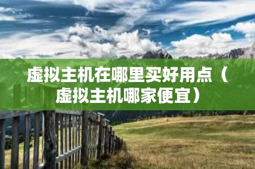 虚拟主机在哪里买好用点（虚拟主机哪家便宜）
