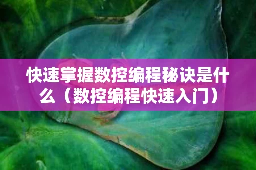 快速掌握数控编程秘诀是什么（数控编程快速入门）