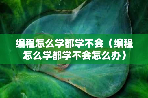 编程怎么学都学不会（编程怎么学都学不会怎么办）