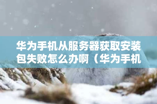 华为手机从服务器获取安装包失败怎么办啊（华为手机从服务器下载安装包）