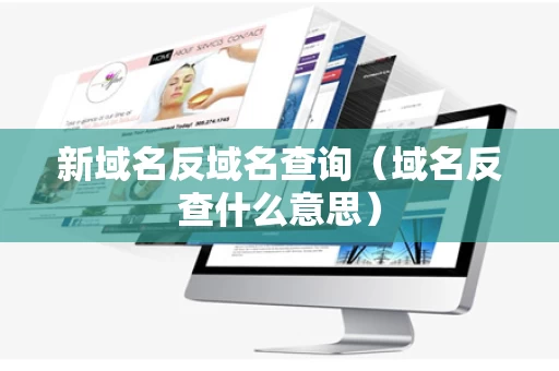 新域名反域名查询（域名反查什么意思）