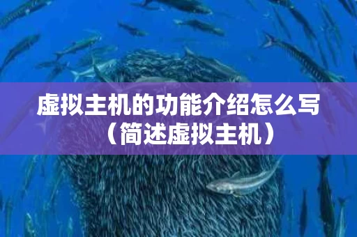 虚拟主机的功能介绍怎么写（简述虚拟主机）