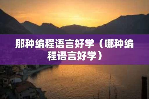 那种编程语言好学（哪种编程语言好学）