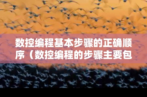 数控编程基本步骤的正确顺序（数控编程的步骤主要包括哪些）