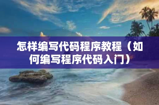 怎样编写代码程序教程（如何编写程序代码入门）