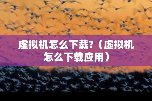 虚拟机怎么下载?（虚拟机怎么下载应用）