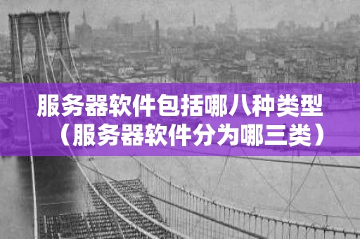 服务器软件包括哪八种类型（服务器软件分为哪三类）