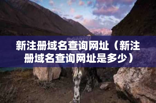 新注册域名查询网址（新注册域名查询网址是多少）