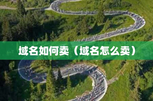 域名如何卖（域名怎么卖）