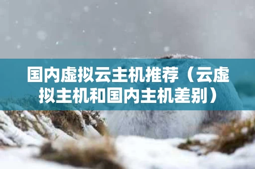 国内虚拟云主机推荐（云虚拟主机和国内主机差别）