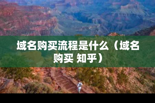 域名购买流程是什么（域名购买 知乎）