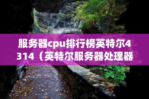 服务器cpu排行榜英特尔4314（英特尔服务器处理器排名）