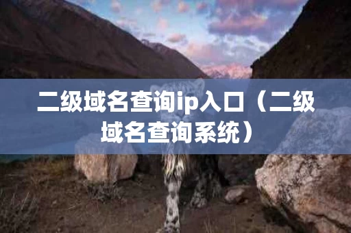 二级域名查询ip入口（二级域名查询系统）