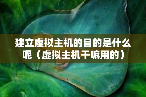 建立虚拟主机的目的是什么呢（虚拟主机干嘛用的）