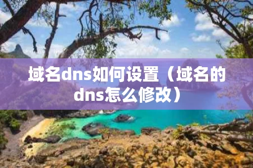 域名dns如何设置（域名的dns怎么修改）