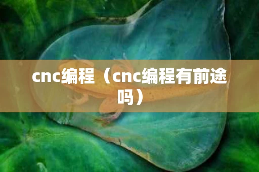 cnc编程（cnc编程有前途吗）