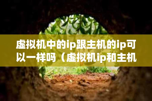 虚拟机中的ip跟主机的ip可以一样吗（虚拟机ip和主机ip关系）