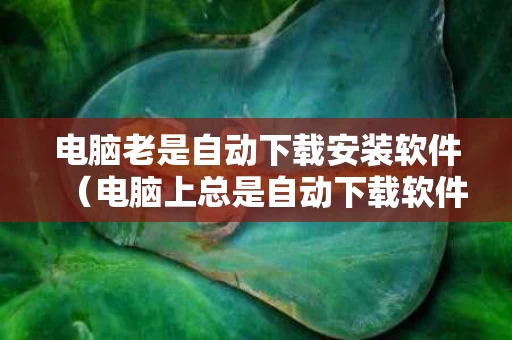 电脑老是自动下载安装软件（电脑上总是自动下载软件）