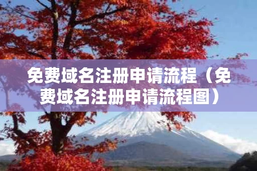 免费域名注册申请流程（免费域名注册申请流程图）